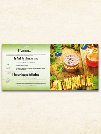 Larp Buch-11-Gamer Kochbuch-Trollfelsen